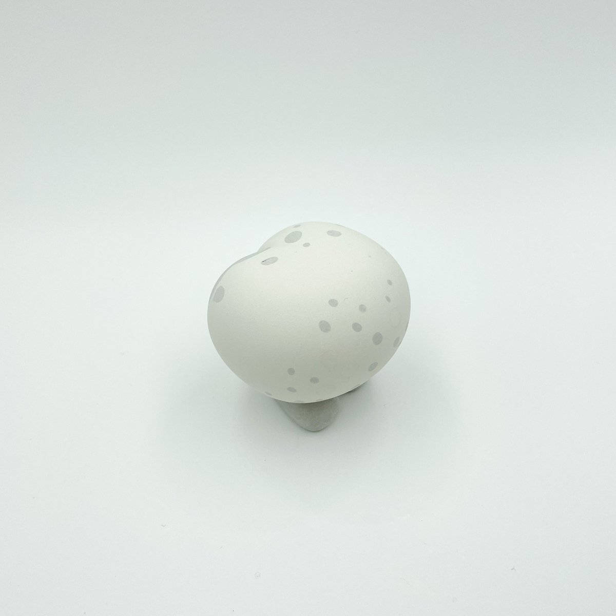 Q1_11 - Qlini